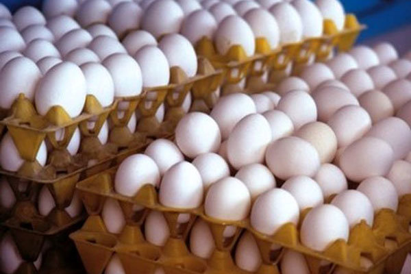 کاهش ۲۵۰۰ تومانی قیمت تخم مرغ