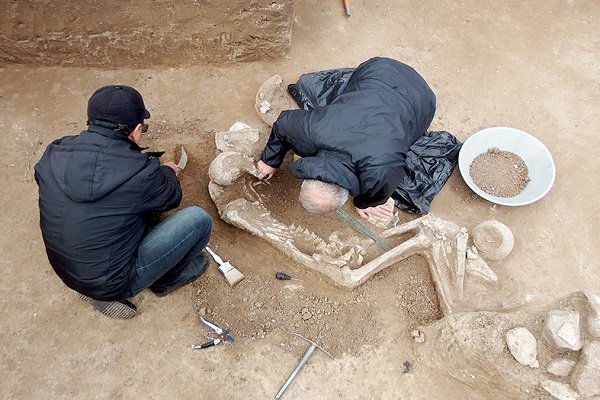 گور یک جنگاور سه هزار ساله در گیلان کشف شد