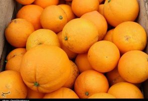 جزئیات ذخیره‎سازی و توزیع ۷۰ هزار تن سیب و پرتقال شب عید