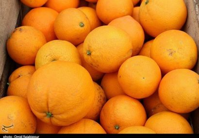 جزئیات ذخیره‎سازی و توزیع ۷۰ هزار تن سیب و پرتقال شب عید