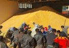 توزیع گسترده برنج، روغن و تخم‏‏‎مرغ با قیمت مصوب/ ۷.۵میلیون تن ذرت وارد شد
