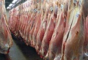 رئیس سازمان دامپزشکی کشور: مردم نگران تأمین گوشت قرمز نباشند/ واردات گوشت قرمز از ۵ قاره