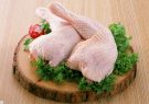 صادرات گوشت مرغ ممنوع !