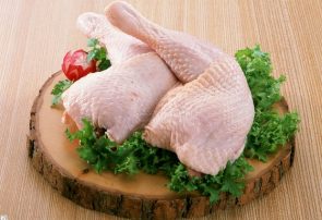 صادرات گوشت مرغ ممنوع !