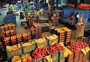 افزایش ۳۴ درصدی عرضه میوه برای تنظیم بازار شب عید
