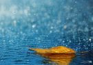 موج تازه بارش‌ “باران” در انتظار کدام استان‌ها است