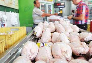 تلاش مرغداران برای افزایش دوباره قیمت مرغ