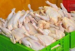 عرضه گوشت مرغ دولتی در کنار بازار آزاد چند نرخی!