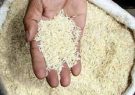 ارز واردات برنج همچنان ۴,۲۰۰ تومان است