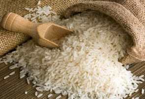 ارز واردات برنج همچنان۴۲۰۰تومان است