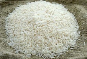 پیش‌بینی رشد تا ۲۰ درصد تولید برنج