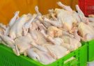 مرغ در همه جا به قیمت ۱۱ هزار و ۵۰۰ تومان عرضه می‌شود