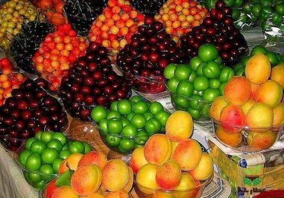 آخرین وضعیت عرضه و قیمت میوه‌های نوبرانه‌
