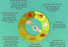 اینفوگرافی؛چند توصیه غذایی برای افراد دیابتی