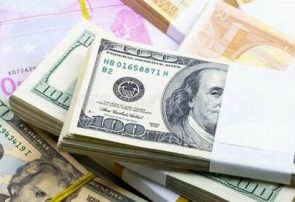 استعلام از بانک مرکزی و گمرک درباره تخصیص ارز دولتی