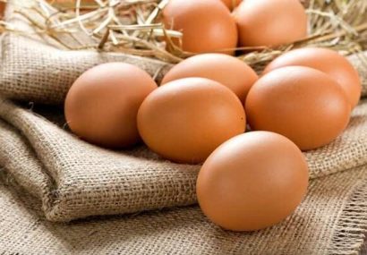 تولید روزانه ۲۵۰۰ تن تخم مرغ در کشور