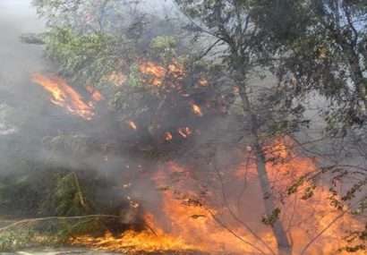 آتش‌سوزی در ۱۱ هزار هکتار از جنگل‌ها و مراتع کشور از ابتدای تابستان