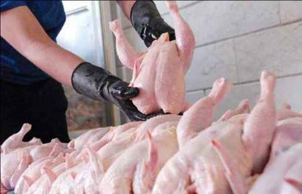 قیمت مرغ به ۱۴ هزارتومان رسید/با بگیر و ببند بازار کنترل نمی‌شود