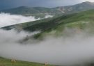 خنک‌ترین شهرهای کشور برای مسافرت/گردوخاک در زابل و کرمان