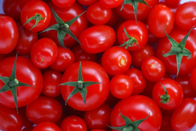 خرید توافقی ۴۵ هزار تن گوجه فرنگی از کشاورزان