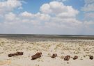 معرفی فناوری های زیست محیطی برای دریای آرال
