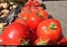 قیمت گوجه ۲۵۰۰ تومان می‌شود