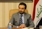 درخواست حلبوسی از صالح : تکلیف نخست وزیر را تا ۱۵ روز دیگر مشخص کنید