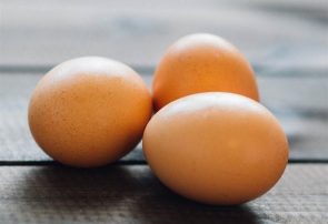 سود گرانی تخم‌مرغ در جیب خرده فروشان