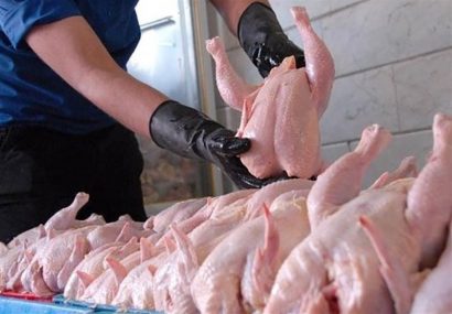 تامین مرغ و گوشت شب عید / مصرف مرغ ۱۱ درصد افزایش یافت