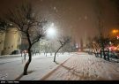 هواشناسی ایران ۹۸/۱۱/۲۸| هشدار کولاک برف و آبگرفتگی معابر در ۲۷ استان