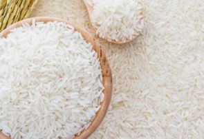 تسریع تخصیص ارز واردات برنج