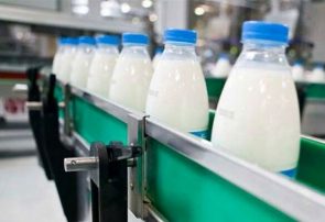 بحث آلودگی شیر به کجا رسید؟