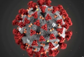 افزایش بیش از ۱۱۰۰۰ مبتلا به ویروس کرونا در آمریکا در ۲۴ ساعت گذشته