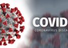 کووید-۱۹ خطرناک تر از آنفلوآنزای فصلی است