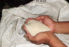 افزایش قیمت برنج توجیهی ندارد