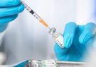 واکسن‌ های احتمالی کرونا در مرحله پیش بالینی
