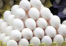 کاهش ۱۰ درصدی قیمت مرغ و تخم مرغ