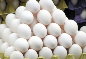 کاهش ۱۰ درصدی قیمت مرغ و تخم مرغ