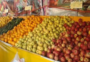 افزایش شاخص قیمت تولیدکننده میوه در فصل زمستان ۹۸