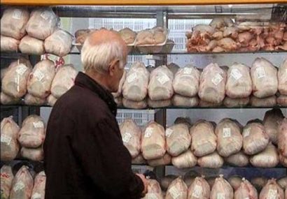 چرا مرغ گران شد؟