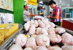 قیمت گوشت مرغ به مرز ۱۹ هزار تومان رسید