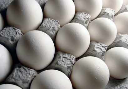 شانه تخم مرغ را بیشتر از ۲۰ هزار تومان نخرید!