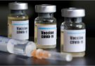 واکسن کرونای دانشگاه آکسفورد سیستم ایمنی را تربیت می‌کند