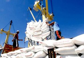 ورود سازمان بازرسی در احقاق حق واردکنندگان برنج