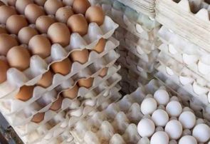نرخ هر شانه تخم مرغ به ۱۸ هزار تومان رسید