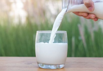تعادل بازار شیر
