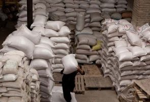 توافق بانک مرکزی و وزارت صمت برای تسویه مطالبات وارد کنندگان برنج
