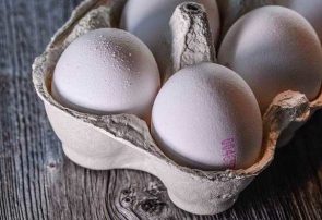 کاهش قیمت تخم مرغ