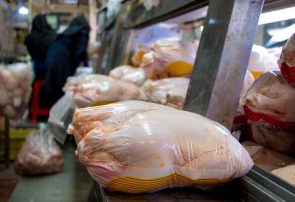 دلایل گرانی قیمت مرغ