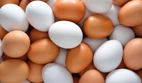 قیمت هر شانه تخم‌مرغ حداکثر ۳۱ هزار تومان تعیین شد